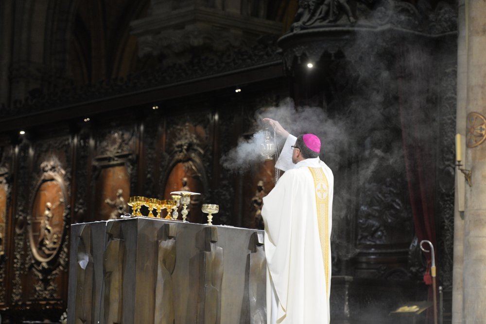 Rassemblement des sixièmes 2017 - Messe à Notre-Dame 9. © Marie-Christine Bertin/Diocèse de Paris.